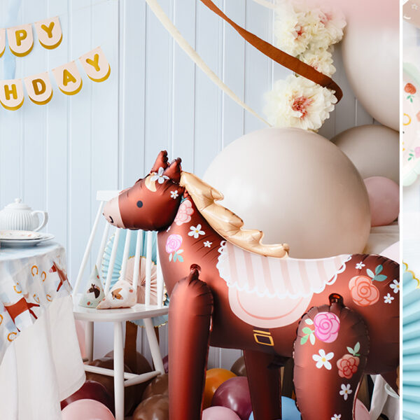 baner kolekcja koniki