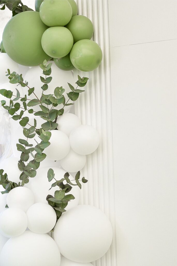 scianka do zdjec biel eukaliptus