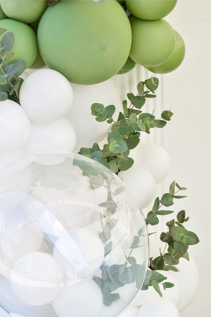 scianka do zdjec biel eukaliptus